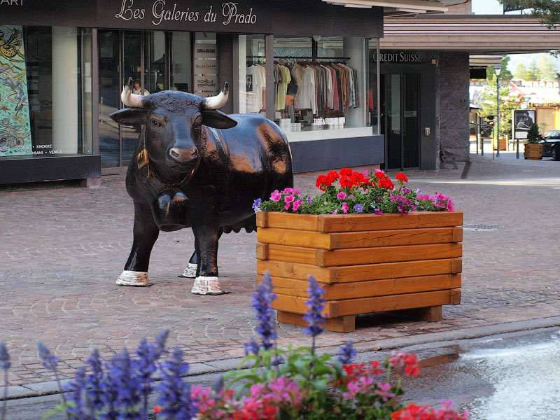 ������� ���������: ������ ������. �� ����� �����