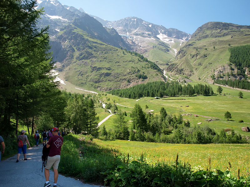 ������� ���������: � ���� ����������. �������� �����