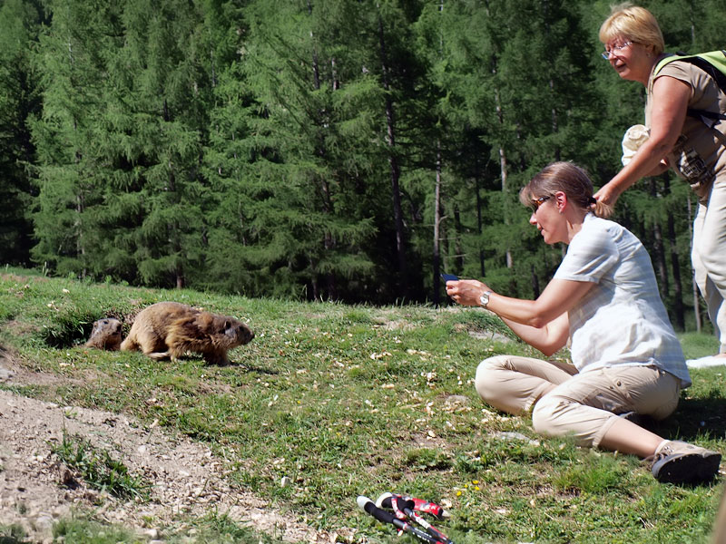 ������� ���������: ������� � ���������. �� �������