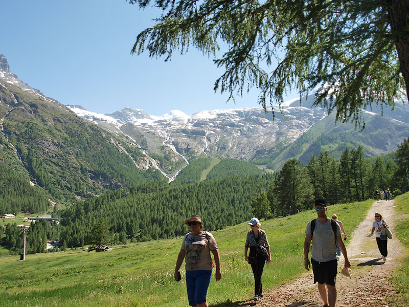 ������� ���������: ����� ����������� �������. ���� ����