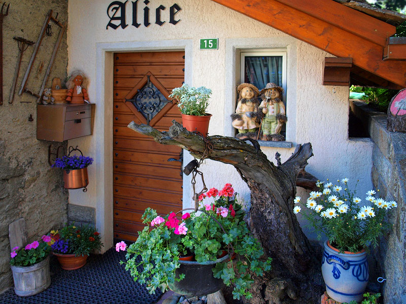 ������� ���������: ����� ����� �����. ��������� �������