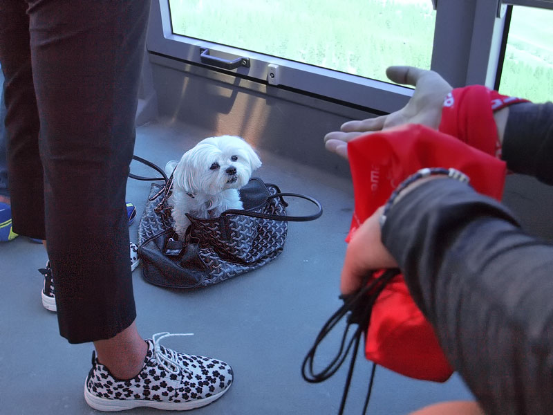 ������� ���������: � ������� � ��������. ����� �������