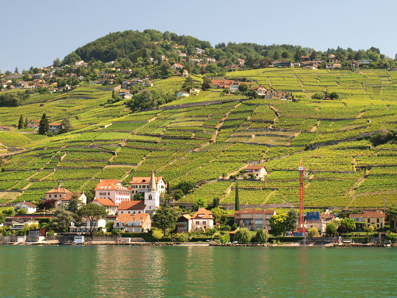 ������� ���������: ��������� �������. �������� ����������