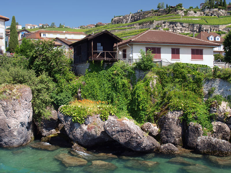 ������� ���������: �� ������ ������ �����. ��������� ������