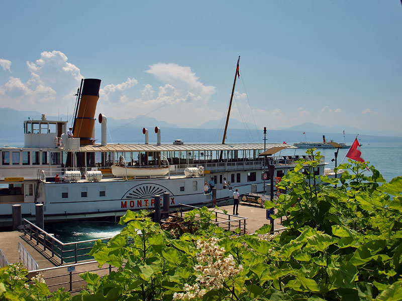 ������� ���������: ��������� ������� MONTREUX. ������������ ��������