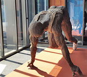 �� ������