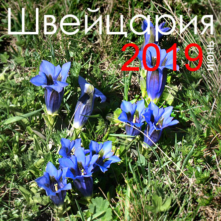 ������� �����