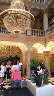 � ����� ����