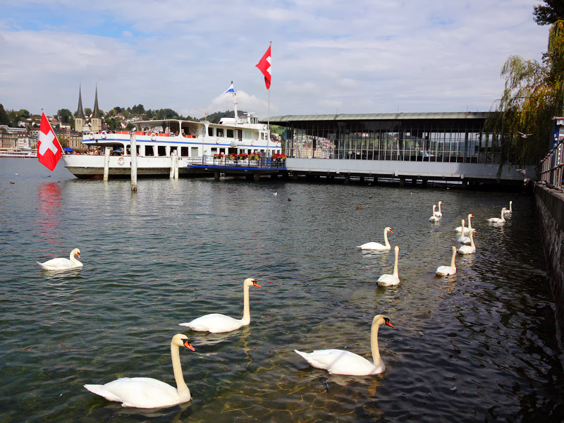 ������� ���������: ��� ����� �������� ����� � ����� �������. ���������� ��������� �����