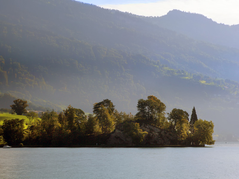 ������� ���������: ��� ������������. ���� ����� �� �����