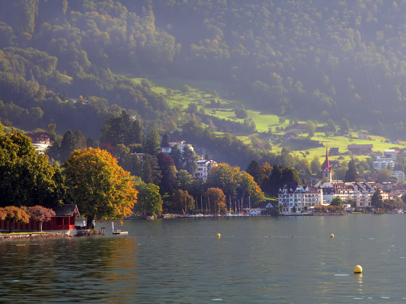 ������� ���������: ������� ��� ���������. �������� ��������