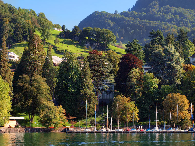 ������� ���������: ��������� �����. ������ ��������