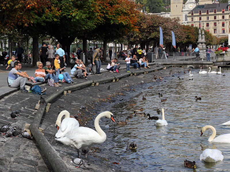 ������� ���������: ������ ������ � ��������� ���� ������������ ������. �� ������ ����������� �����