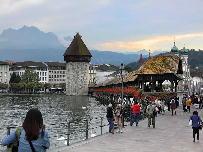 ������� ���������: ���� ������������. ��� ���� ������ �������