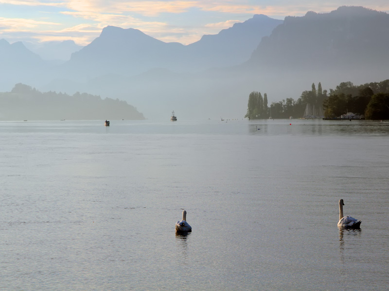 ������� ���������: ��������� �����. ���� � �������