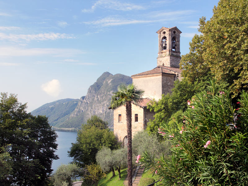 ������� ���������: �������� � ����������� ����. �� ���� �� �������