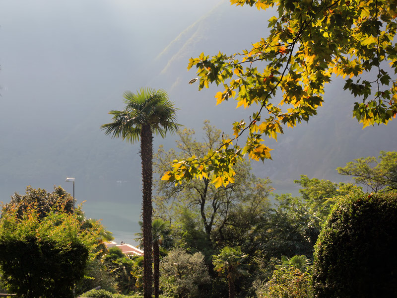 ������� ���������: � ����� ��������� ������. �� ���� �����-���