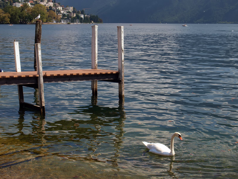 ������� ���������: ��� ���� ��������� �����. ����� ������