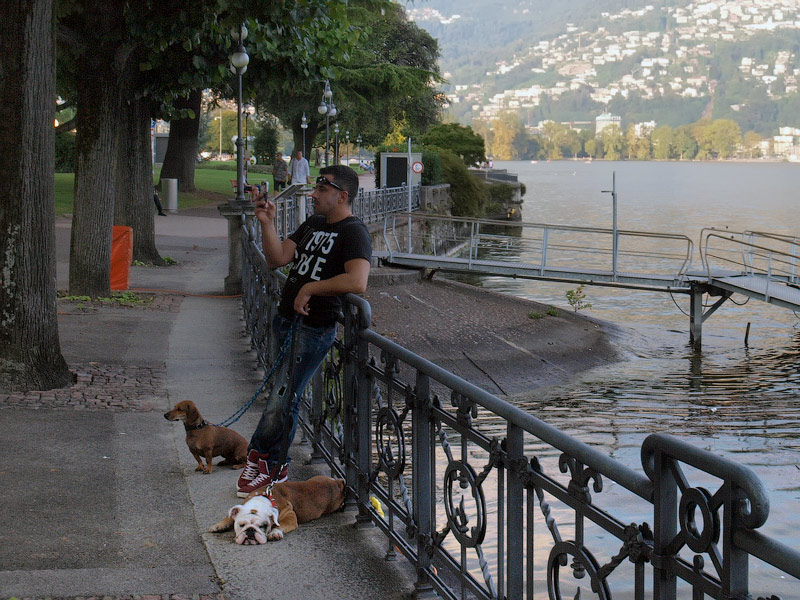 ������� ���������: ������� � ���������. ��������