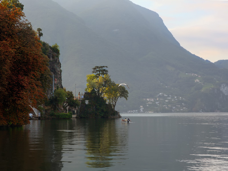 ������� ���������: ����. ����� ������