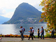 ���� ���-����������