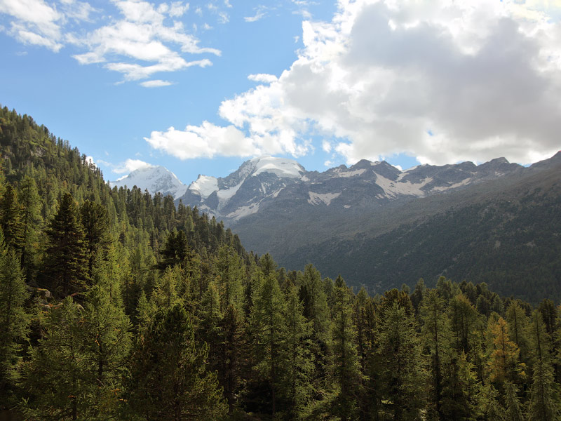 ������� ���������: ����� ������� ����. ������ �������