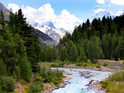 ������� �������� �� �������� �������