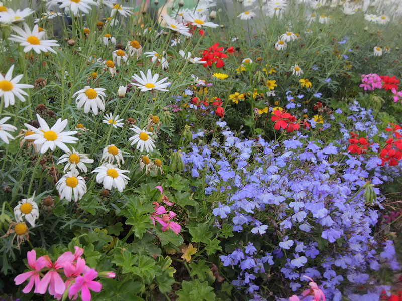 ������� ���������: ������ ������� ������. �����-�����