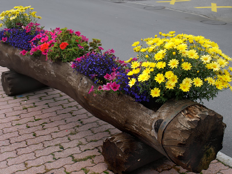 ������� ���������: ����� ��������� ������. �� � ������