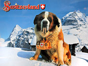 ������ ���������