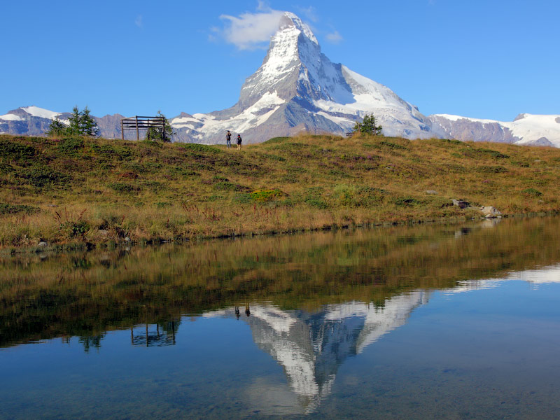 ������� ���������: ���������� � ����������. � �����