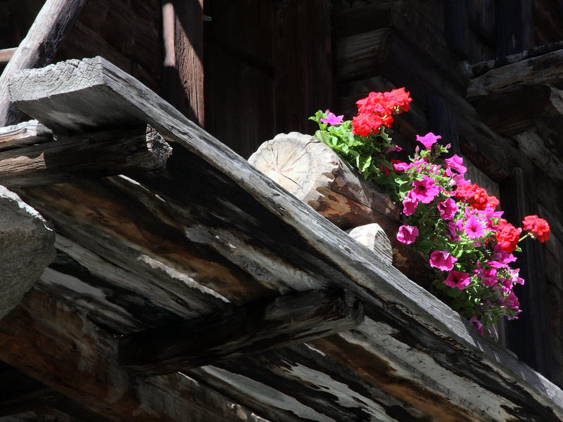 ������� ���������: �������� �� ����������. ����� �� �������� �������