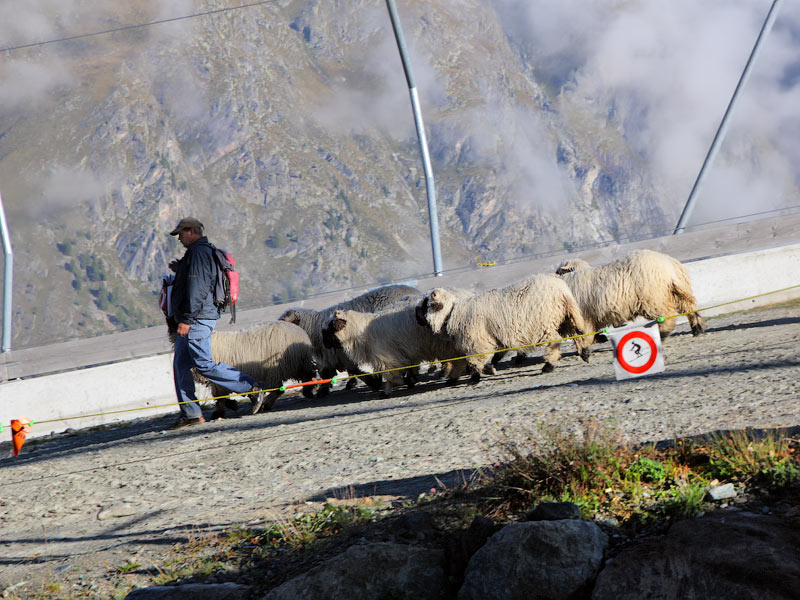 ������� ���������: ������������ ����. �� ������ �� �������