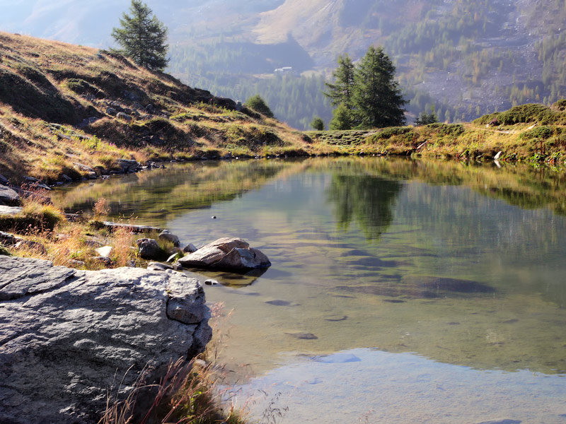 ������� ���������: � �����. �� ���� �������