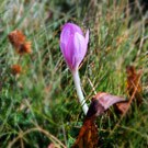 ���������� �����