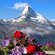 ���������� � ������ �������� ������