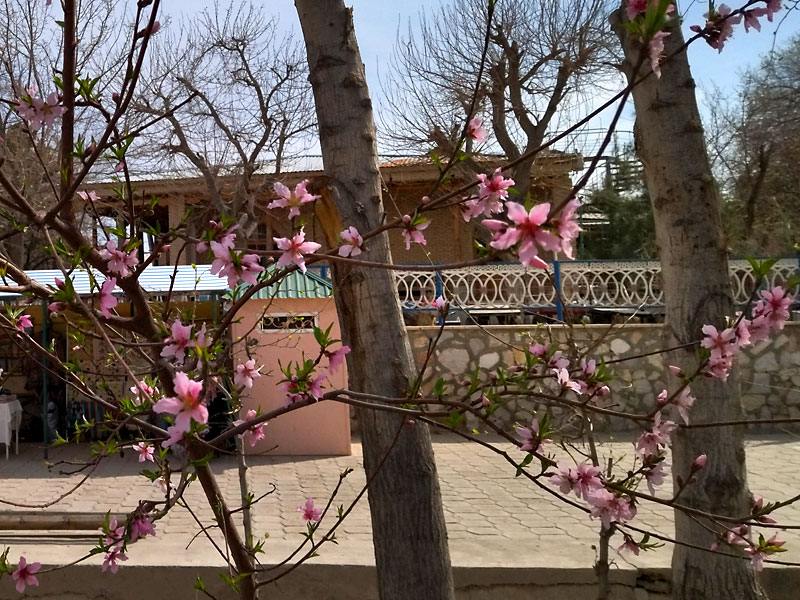 ������� ���������: ����� ����. �� ������ ������